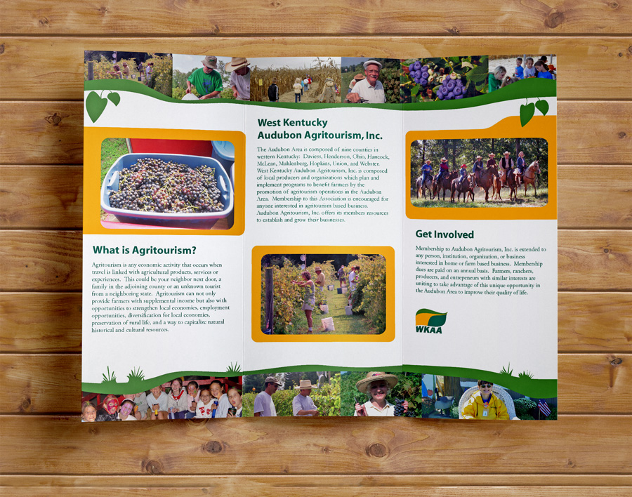 Brochure inside panels